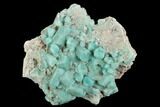 Amazonite Crystal Cluster - Colorado #129241-1